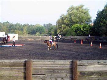Willowbrook Riding Centre Chichester Exteriér fotografie